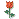 :	p_1212pnnn91.gif
: 233
:	960 