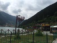     . 

:	HBPP1559.jpg 
:	302 
:	108.5  
:	103276