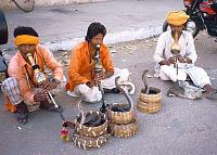     . 

:	Cobra-Dancing-on-Flute.jpg 
:	43 
:	83.5  
:	100837