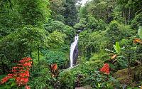     . 

:	Campuhan-waterfall-2.jpg 
:	48 
:	84.2  
:	101666
