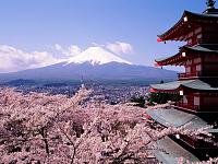     . 

:	tokyo_cherry_blossoms.jpg 
:	234 
:	186.3  
:	100627