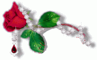     . 

:	rose%5B1%5D.gif‏ 
:	177 
:	46.6  
:	3185