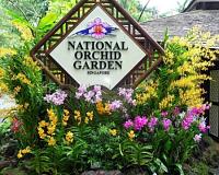     . 

:	national-orchid-garden.jpg 
:	31 
:	87.1  
:	101577