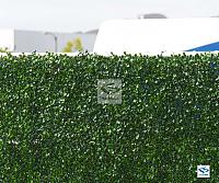     . 

:	natra-hedge-boxwood-faux-detail-2(2).jpg‏ 
:	159 
:	170.8  
:	95807