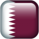   qatar2014