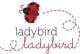   lady bird